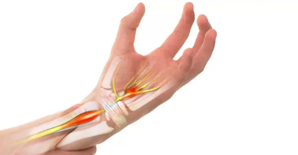 Ilustração anatômica da articulação trapézio-metacarpal